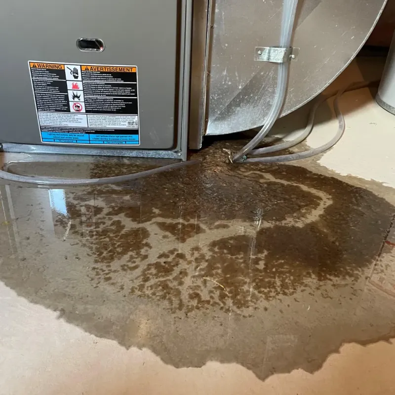 Appliance Leak Cleanup in Bexley, OH