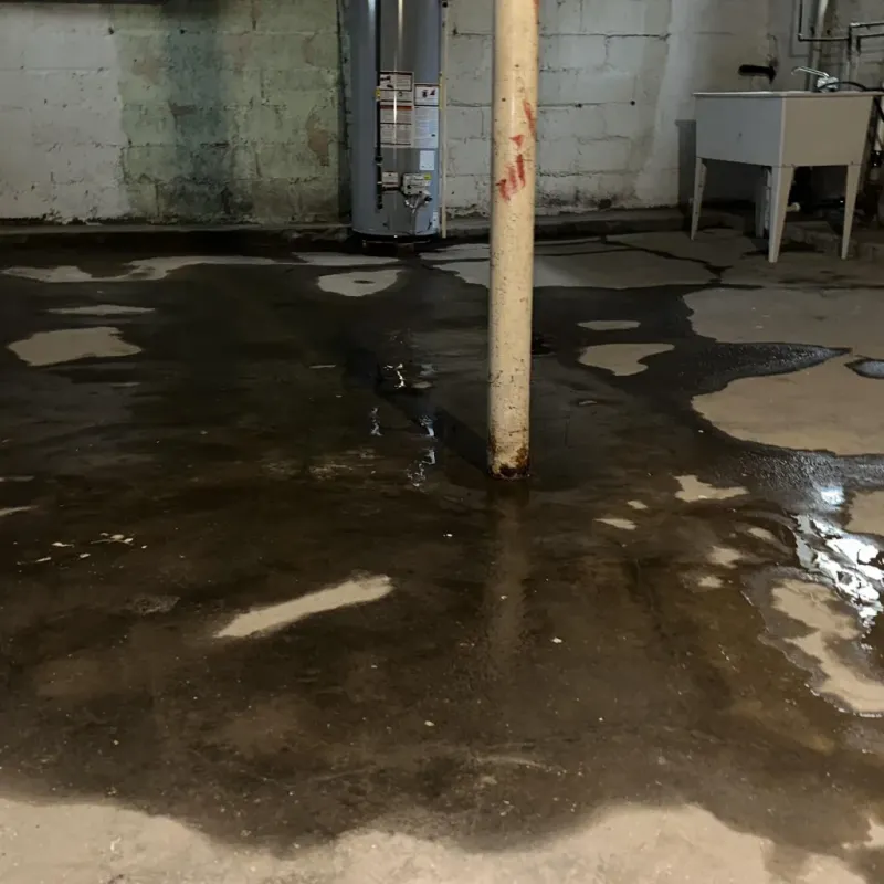 Emergency Water Extraction And Removal in Bexley, OH